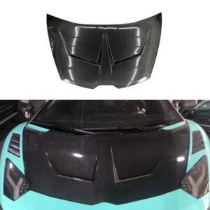 LAMBORGHINI LP700/LP720S Dry carbon fiber S16 hood