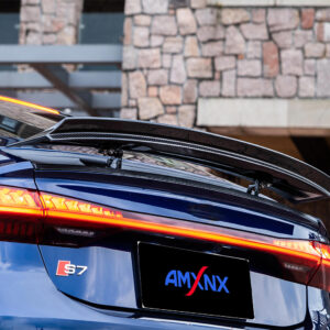 AUDI A7/A7L/S7 C8 Dry carbon fiber tail